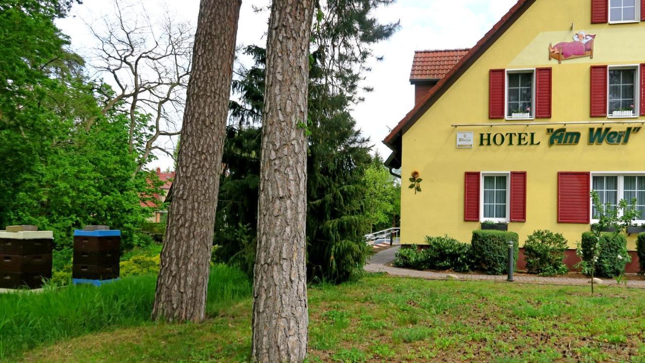 Hotel "Am Werl" Bad Saarow Exteriér fotografie